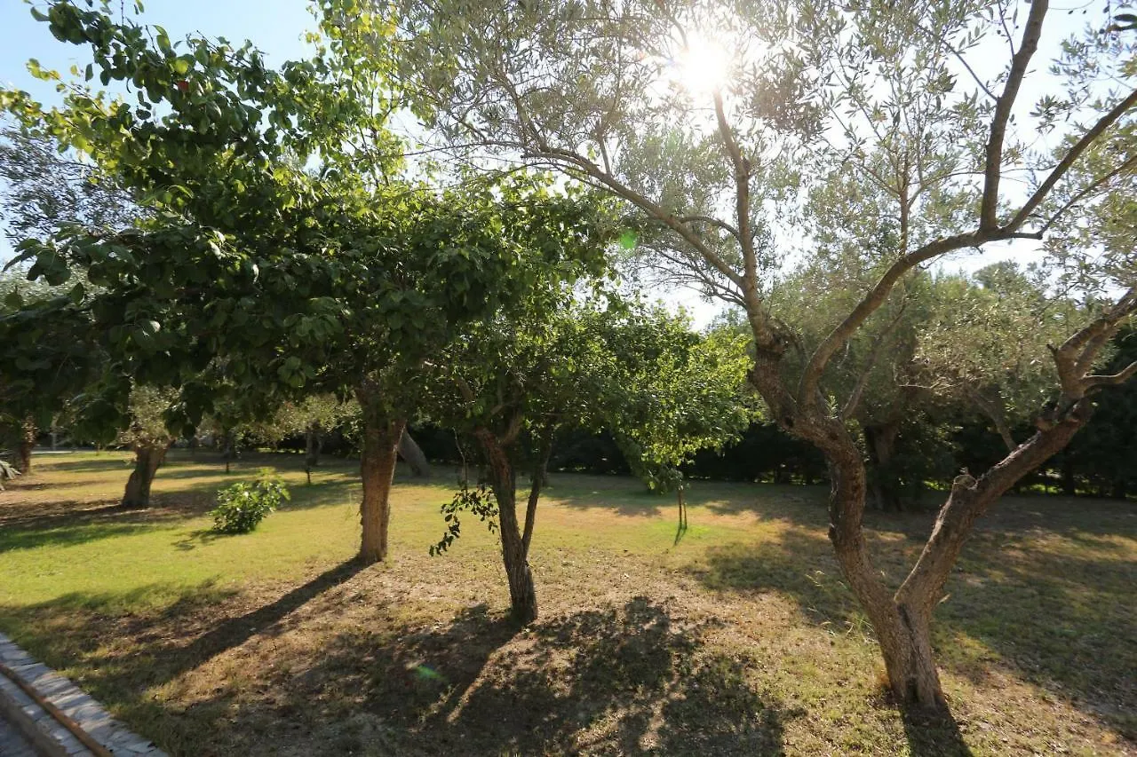 Villa Argo 2 - Beachfront, Big Gardens, Location! Pefkochori 0*,  Greece